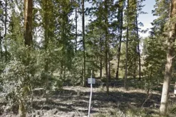 #3510 Porzione di lottizzazione “Borgo Lecchi”
