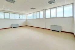 #21097 Porzione di opificio da frazionare (comparto 1)