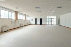 #21097 Porzione di opificio da frazionare (comparto 1)