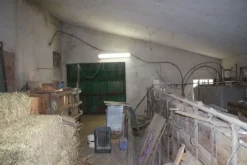 #598 Porzione di tre fabbricati rurali