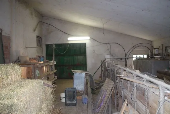 #598 Porzione di tre fabbricati rurali