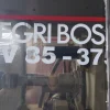 3#9756 Pressa NegriBossi
