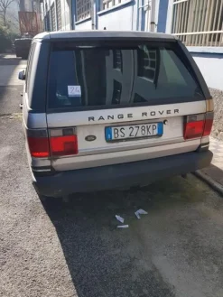 1#3139 Pressa rotativa Bergi e trasportatore aereo