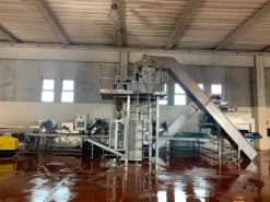 QUARTA GAMMA LAVORAZIONE VERDURE