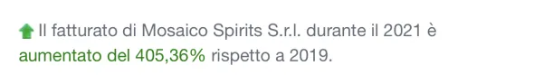 Quota il tuo gin srl.