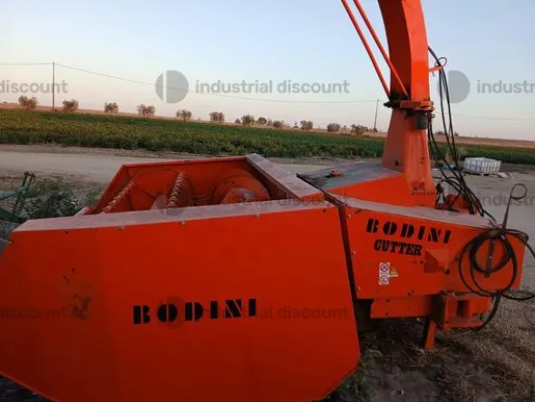 1#8913 Raccoglitore Bodini