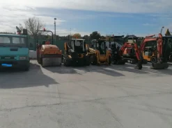 Ramo d'azienda-società