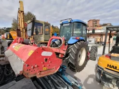 Ramo d'azienda-società