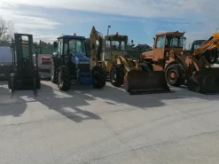 Ramo d'azienda-società