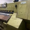10#8753 Rasatrice Rizzi LWI