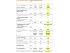 Rettifica Tangenziale SG3063 AHD
