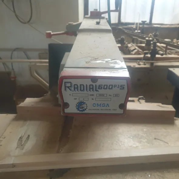 Sega radiale