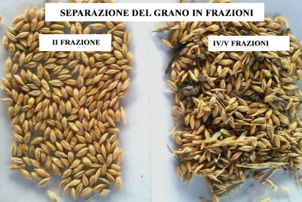 Separatore aerodinamico ASM-15 per la pulizia del grano