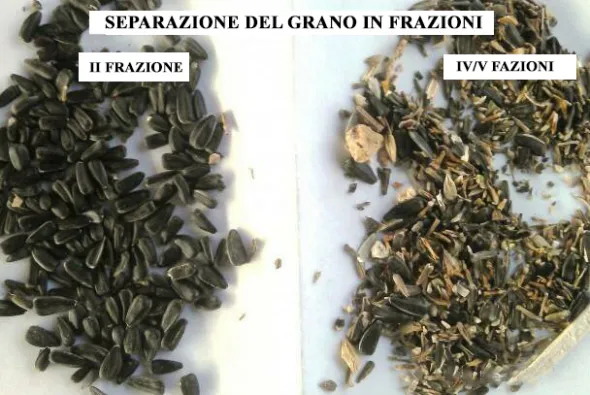 Separatore aerodinamico ASM-15 per la pulizia del grano