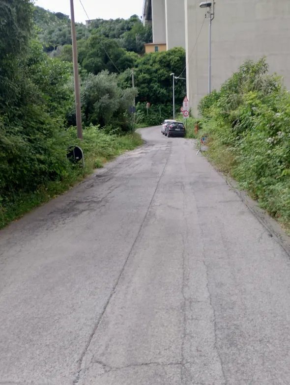 Società Servizi