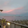 #23058 Stabilimento balneare ristorante con ampio parcheggio