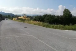 #20832 Stabilimento industriale con corte privata e terreno di proprietà