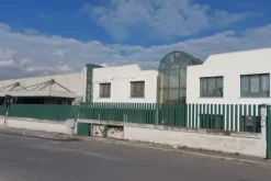 #25774 Stabilimento industriale con area esterna esclusiva
