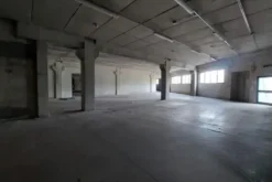 #25774 Stabilimento industriale con area esterna esclusiva