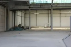 #11192 Stabilimento industriale e terreni edificabili