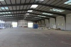 #11192 Stabilimento industriale e terreni edificabili