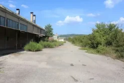 #11192 Stabilimento industriale e terreni edificabili