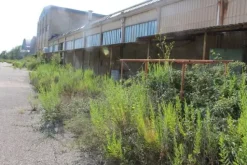 #11192 Stabilimento industriale e terreni edificabili