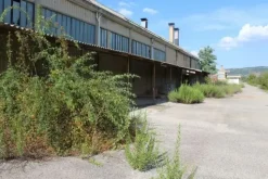 #11192 Stabilimento industriale e terreni edificabili