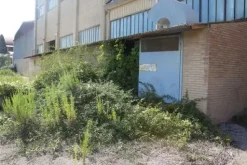 #11192 Stabilimento industriale e terreni edificabili