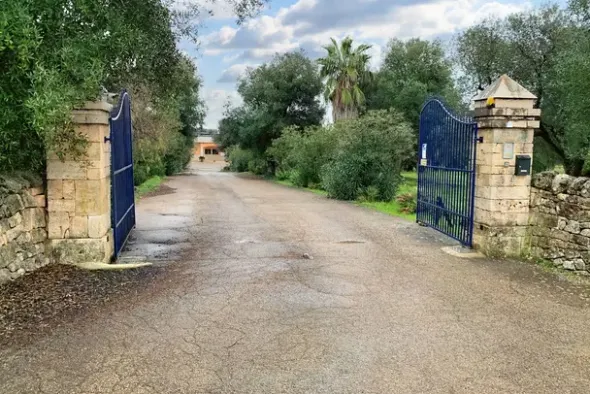 #19933 Stabilimento produttivo con pertinenze e terreno