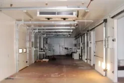 #19933 Stabilimento produttivo con pertinenze e terreno