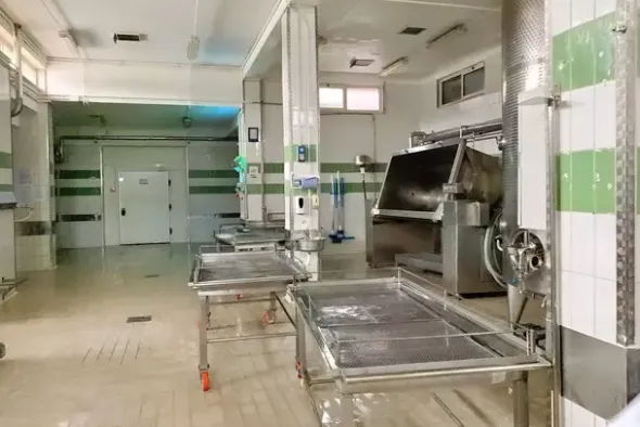 #19933 Stabilimento produttivo con pertinenze e terreno