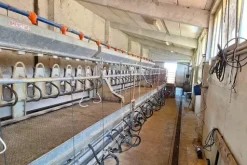 #25239 Stalla con rudere e terreni agricoli sparsi