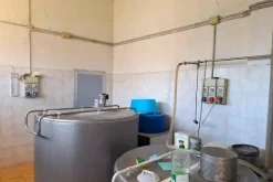 #25239 Stalla con rudere e terreni agricoli sparsi