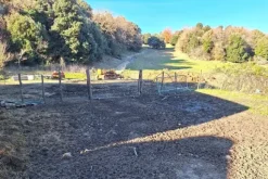 #25239 Stalla con rudere e terreni agricoli sparsi