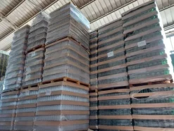 5#5548 Stock bottiglie per confezionamento olio