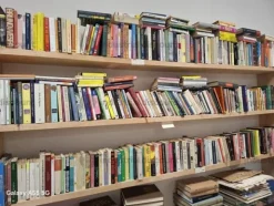 1#9803 Stock di libri usati di varia tipologia