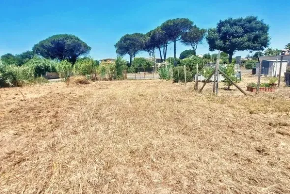 #25687 Striscia di terreno adibita verde pubblico