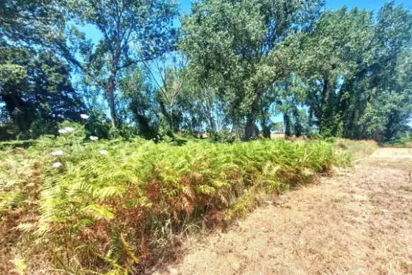 #25687 Striscia di terreno adibita verde pubblico