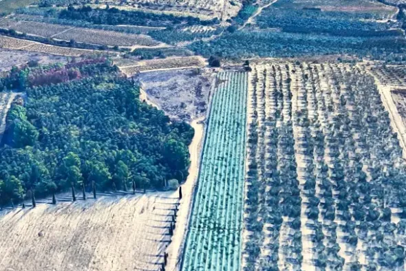 #2639654 Striscia di terreno in contesto agricolo