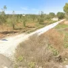 #20878 Striscia di terreno seminativo con uliveto