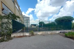 #24434 Struttura commerciale con cortile privato