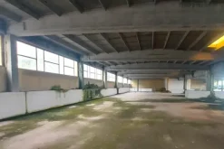 #24434 Struttura commerciale con cortile privato