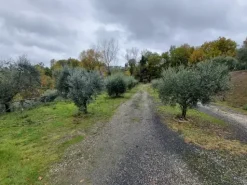 #15016 Struttura ricettiva con centro benessere e campo da golf
