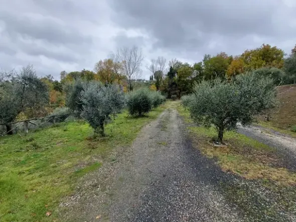 #15016 Struttura ricettiva con centro benessere e campo da golf