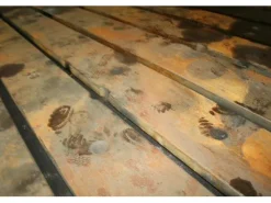 Tavola Girevole Traslante 60 Ton.