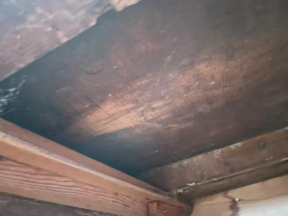 Tavolo falegname banco in legno