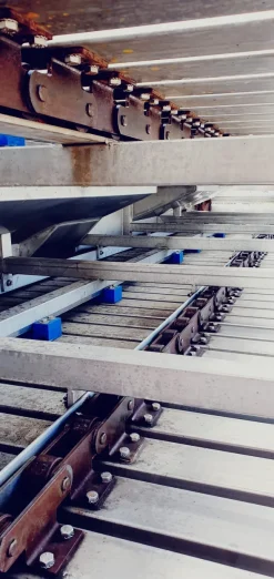 Tavolo trasportatore per suini