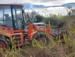 1#7975 Terna gommata Palazzani e Sollevatore con forche Manitou
