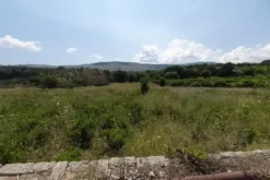 #20882 Terreni agricoli